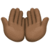 🤲🏿 palms up together: dark skin tone display on Facebook